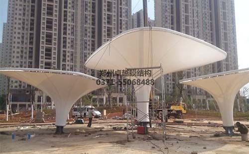 景觀(guān)膜結(jié)構(gòu)特點(diǎn)