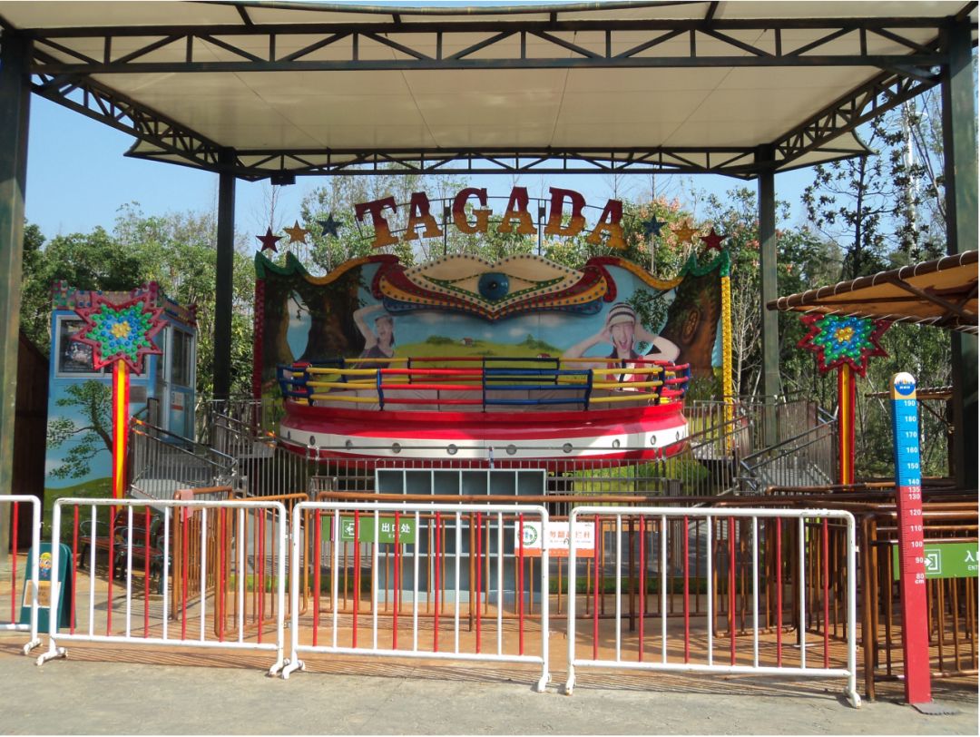 音樂、燈光和雨棚：探索迪斯科轉盤的夜晚魅力