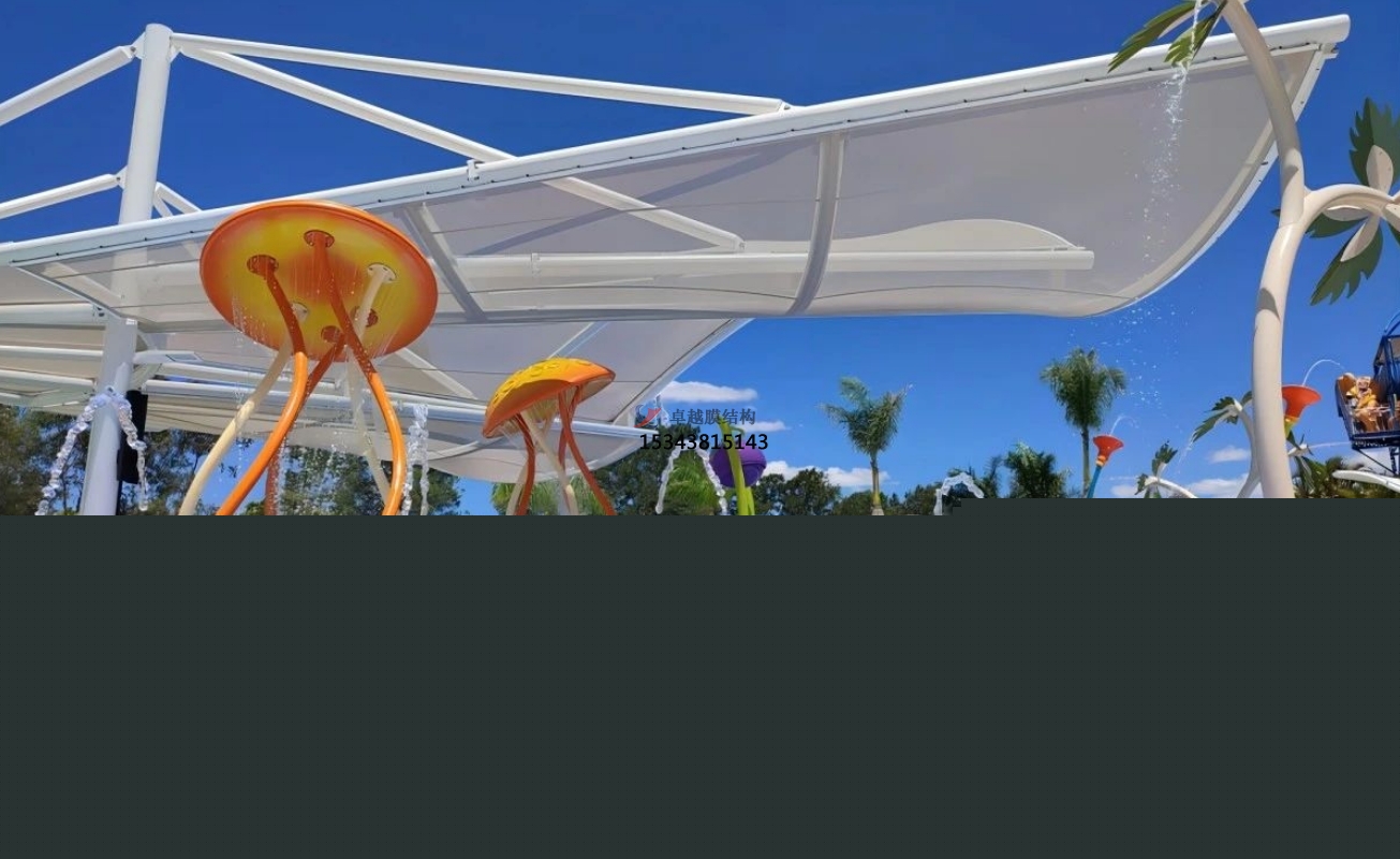 南陽(yáng)水上樂園膜結(jié)構(gòu)——南陽(yáng)膜結(jié)構(gòu)公司【專業(yè)廠家】